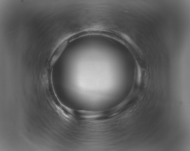 X0000081351356200701111444