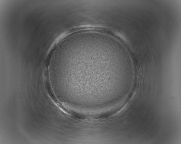 X0000081351357200701111444