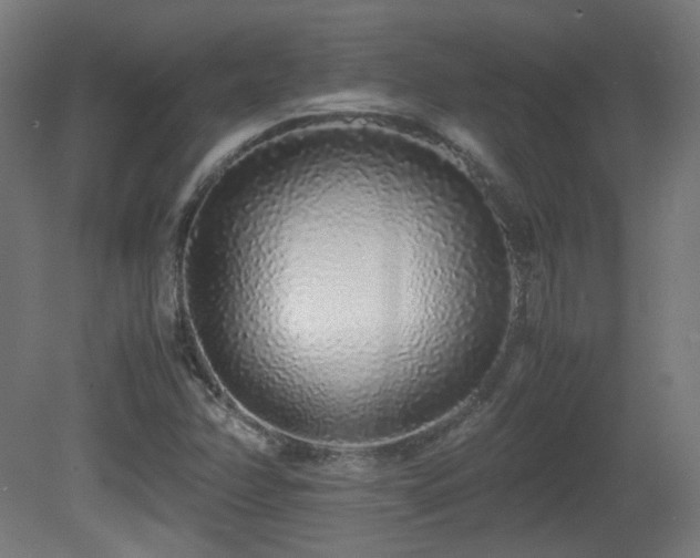 X0000081351358200701111444
