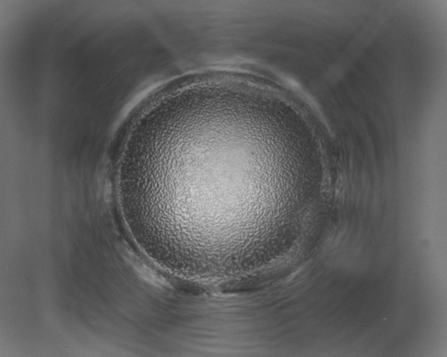 X0000081351360200701111444