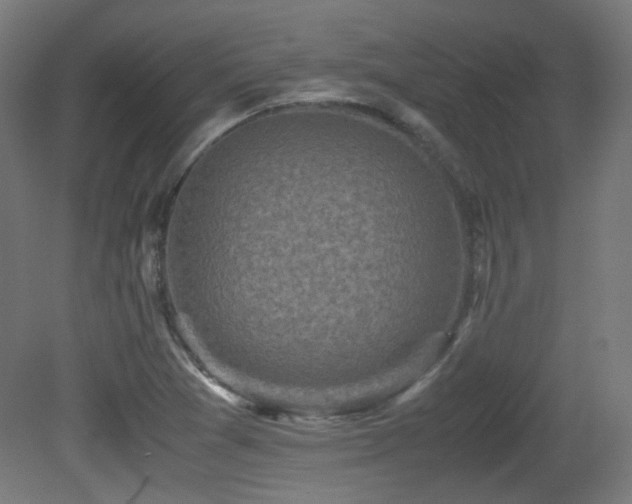 X0000081351361200701111444