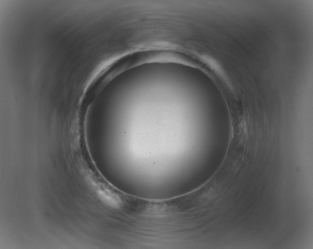 X0000081351364200701111444