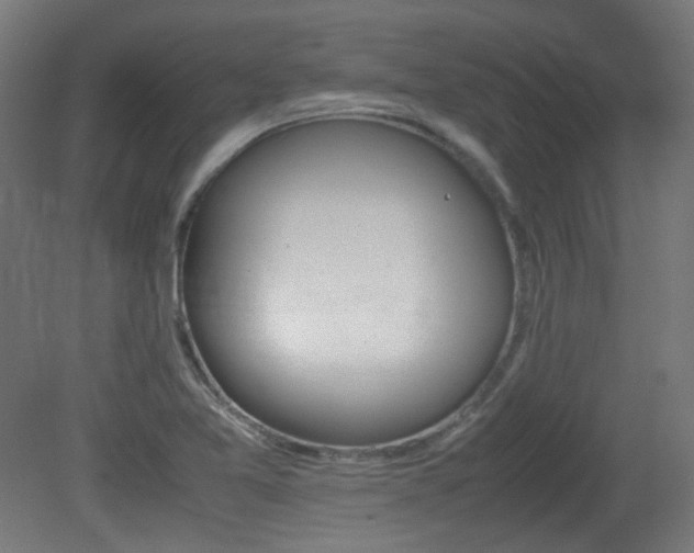 X0000081351365200701111444