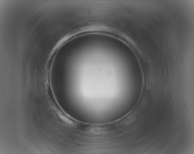 X0000081351366200701111444