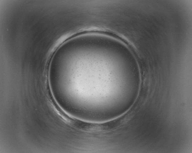 X0000081351367200701111444