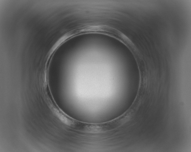 X0000081351370200701111444