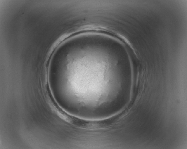 X0000081351371200701111444