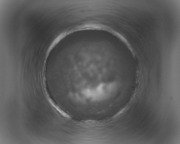 X0000081351373200701111444