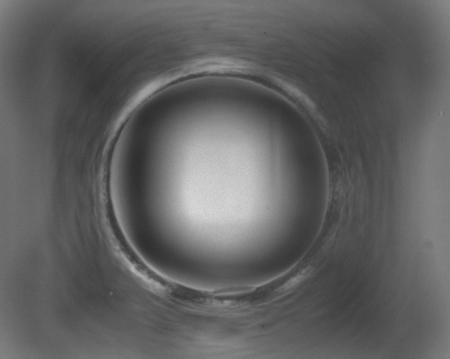 X0000081351375200701111444