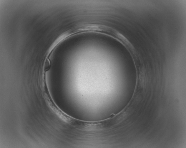 X0000081351378200701111444