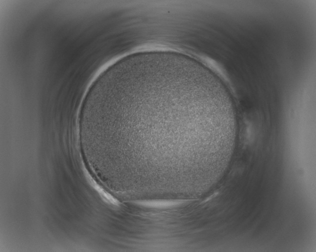 X0000081351380200701111444