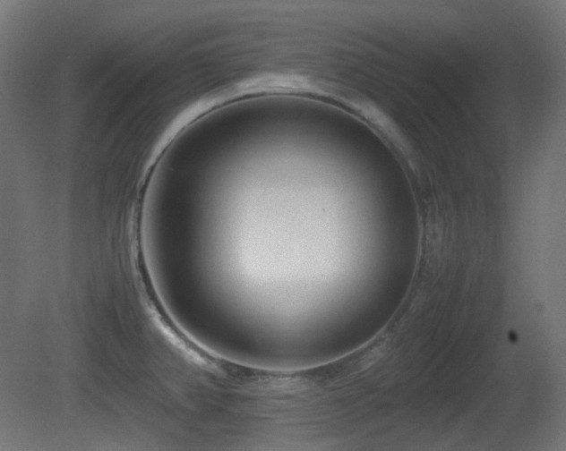 X0000081351382200701111444