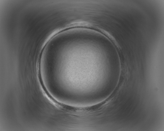 X0000081351383200701111444