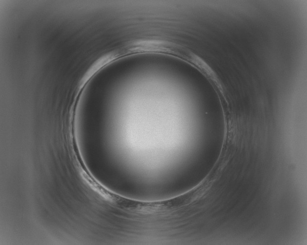 X0000081351386200701111443