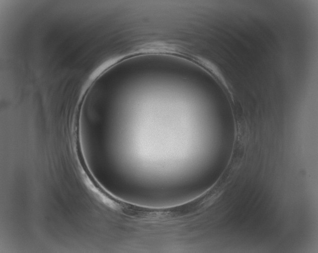 X0000081351387200701111443