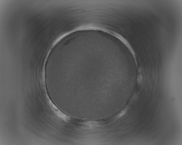 X0000081351388200701111443
