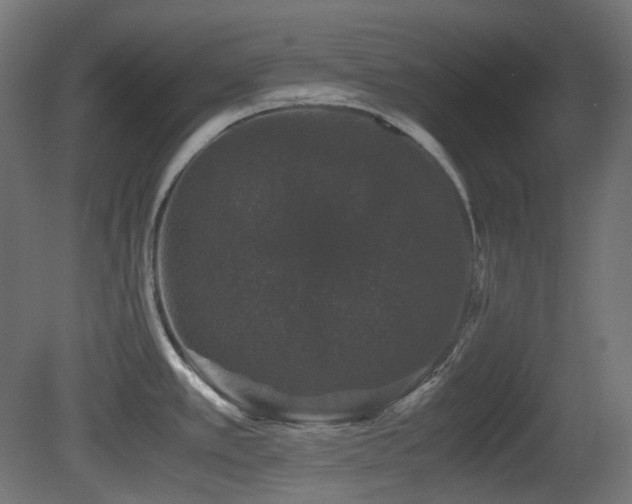 X0000081351389200701111443