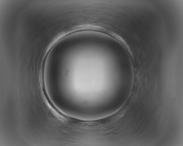 X0000081351391200701111443