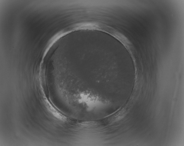 X0000081351392200701111443