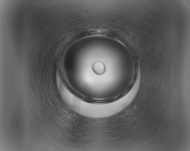 X0000081351393200701111443
