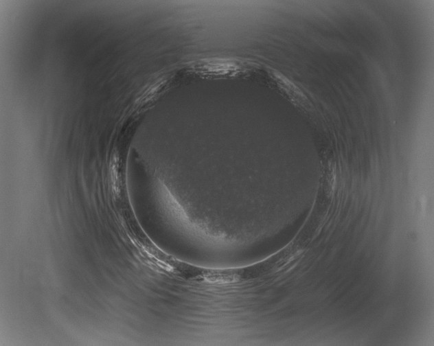 X0000081351394200701111443