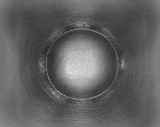 X0000081351396200701111443