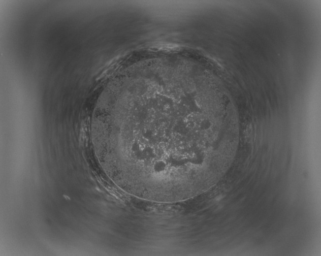 X0000081351397200701111443