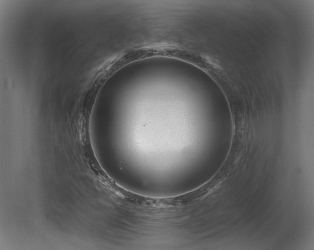 X0000081351398200701111443