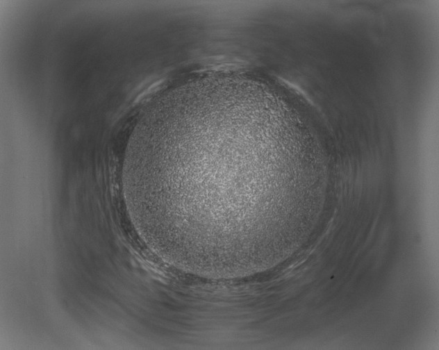 X0000081351399200701111443