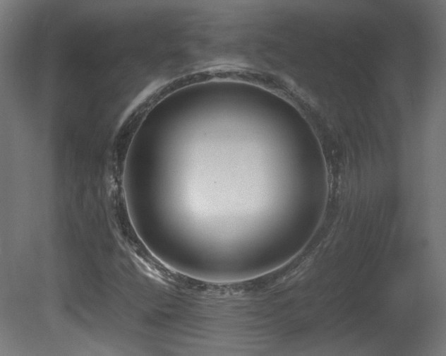 X0000081351400200701111443