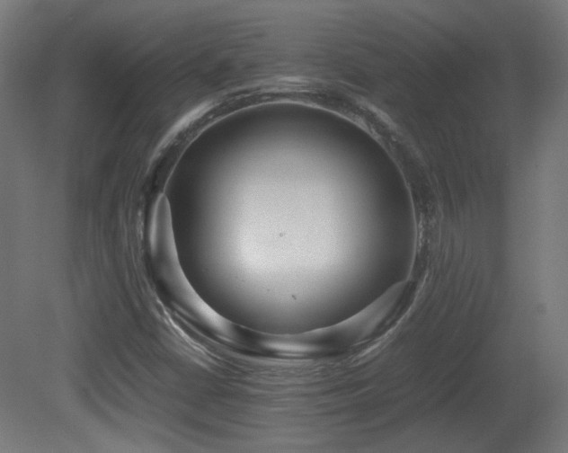 X0000081351402200701111443