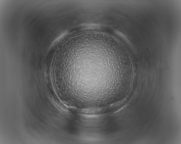 X0000081351403200701111443