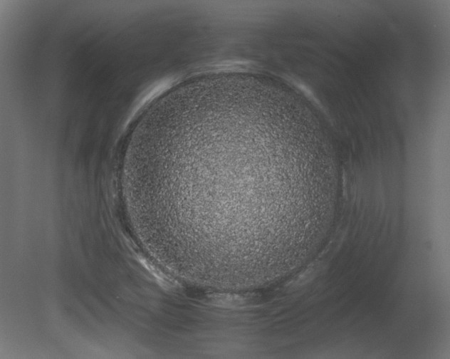 X0000081351405200701111443