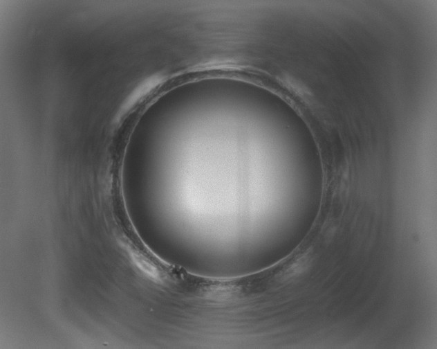 X0000081351406200701111443