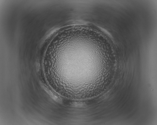 X0000081351407200701111443