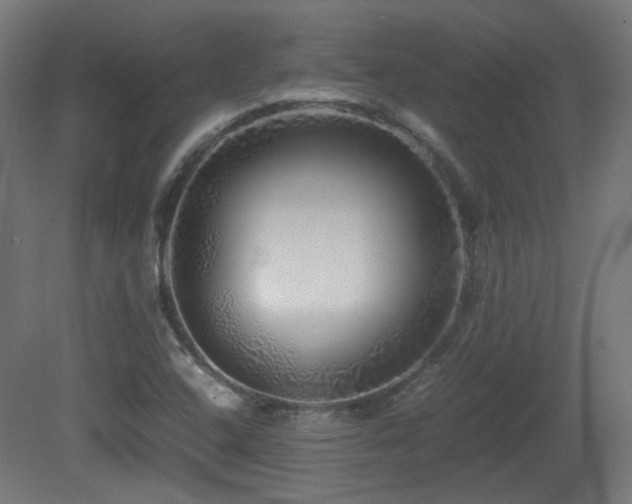X0000081351408200701111443