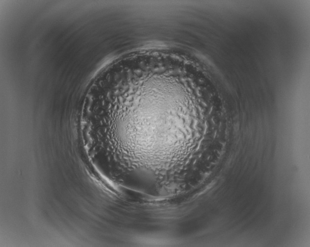 X0000081351409200701111443