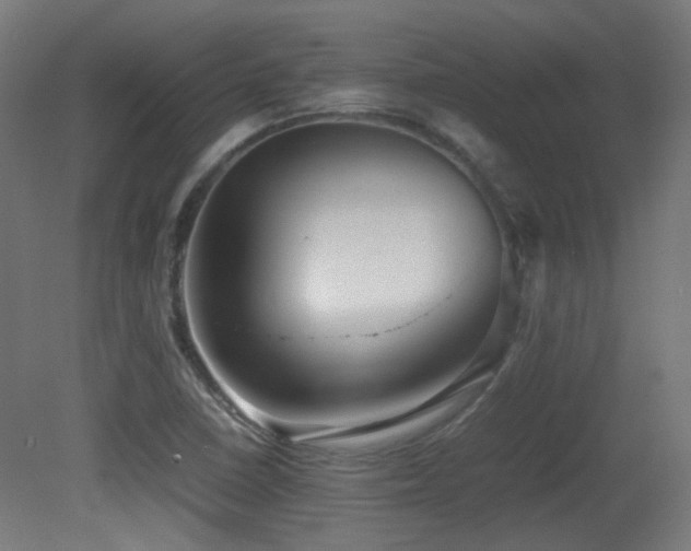 X0000081351410200701111443