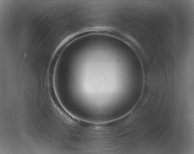 X0000081351412200701111443