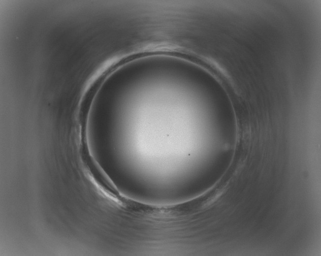 X0000081351414200701111443