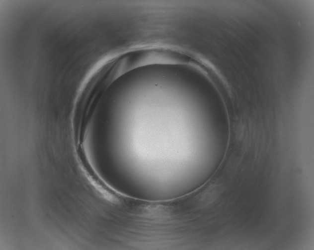 X0000081351416200701111443