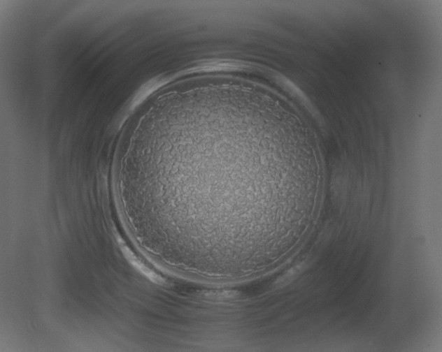X0000081351417200701111443