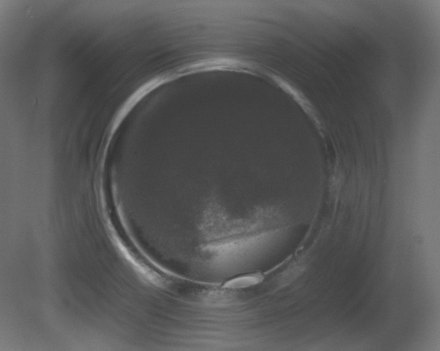 X0000081351418200701111443