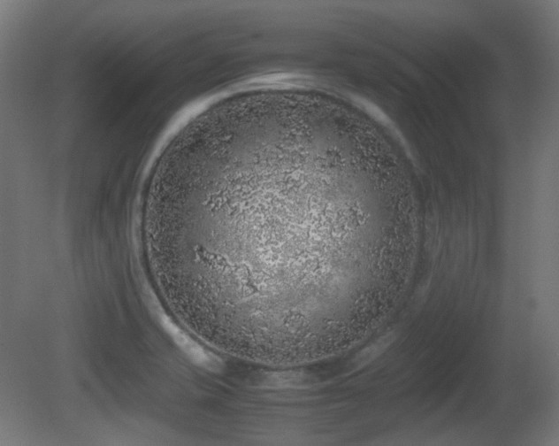 X0000081351421200701111443