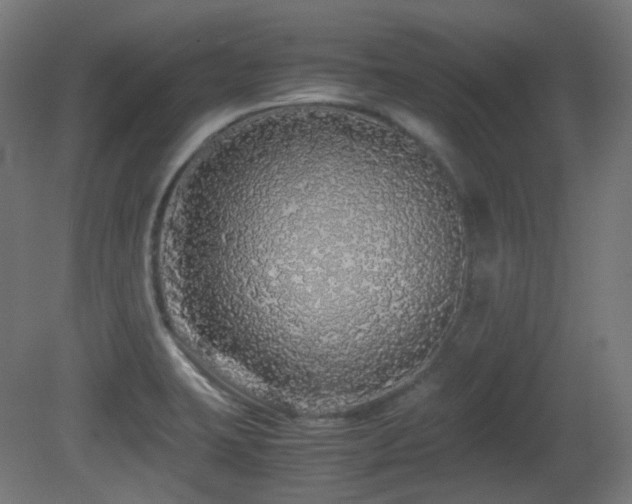 X0000081351423200701111443