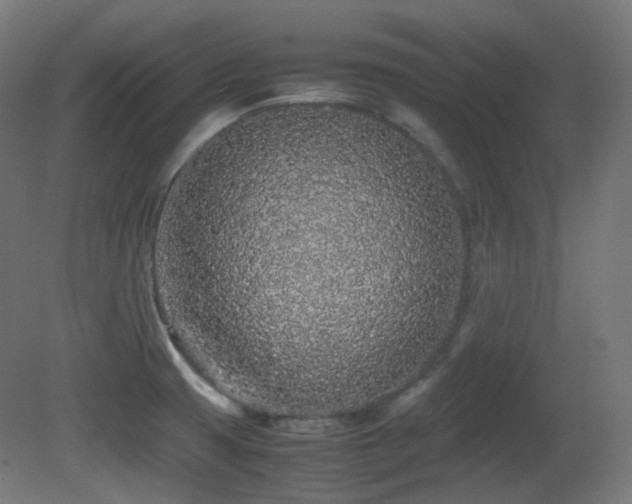 X0000081351425200701111443