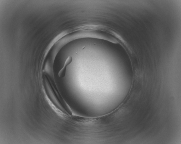 X0000081351426200701111443