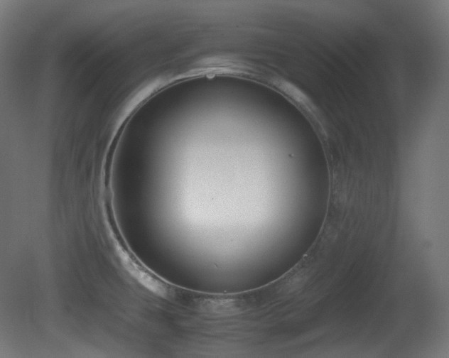X0000081351431200701111443