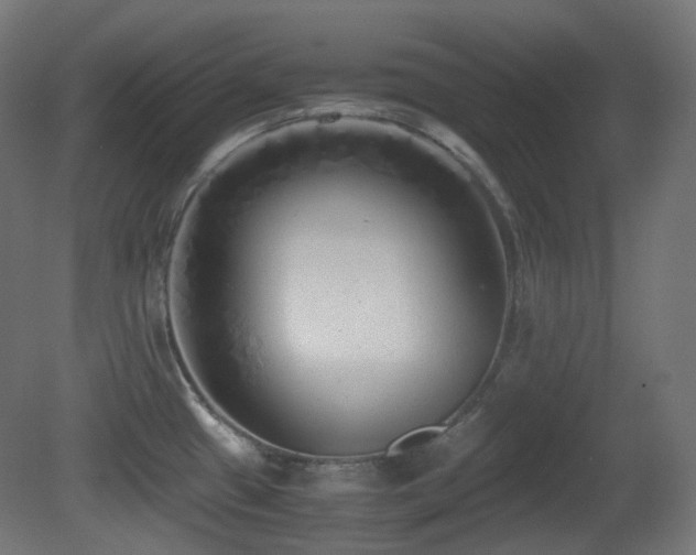 X0000081351433200701111443