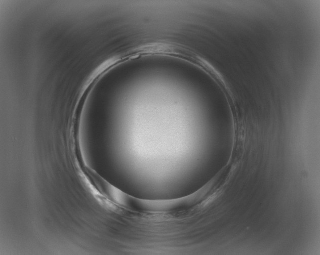 X0000081351434200701111443